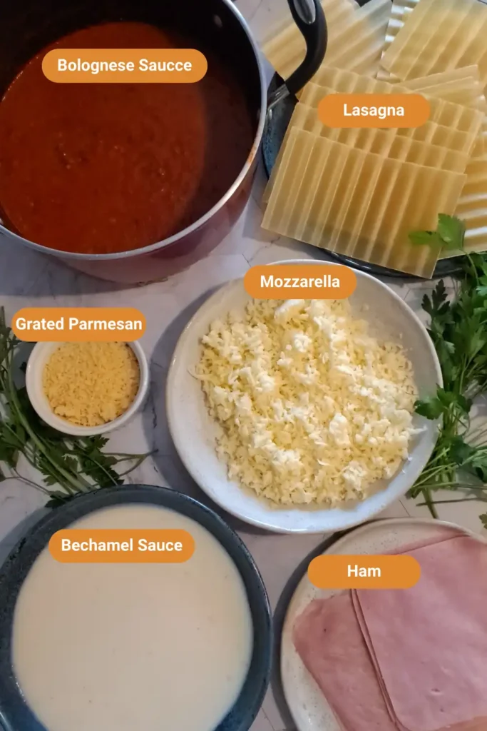 Lasagna Bolognese Recipe – A Homemade Favorite With a Twist 29 Lasagna Bolognese Recipe Ingredients