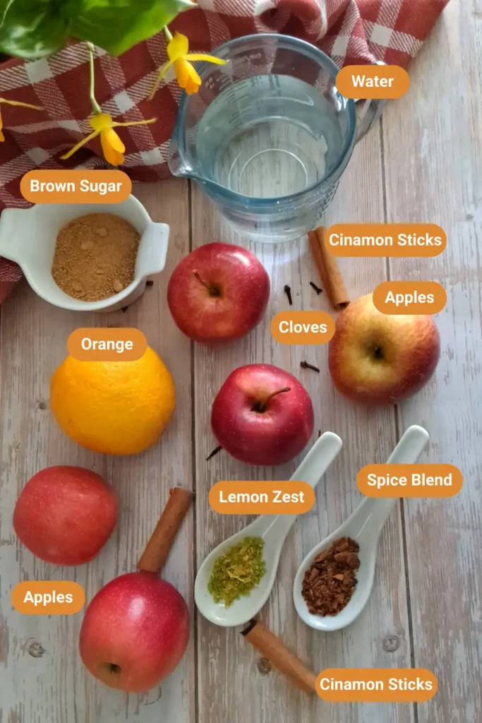 Easy Homemade Apple Cider for Cozy Evenings and Fall Gatherings 18 Apple Cider Ingredients