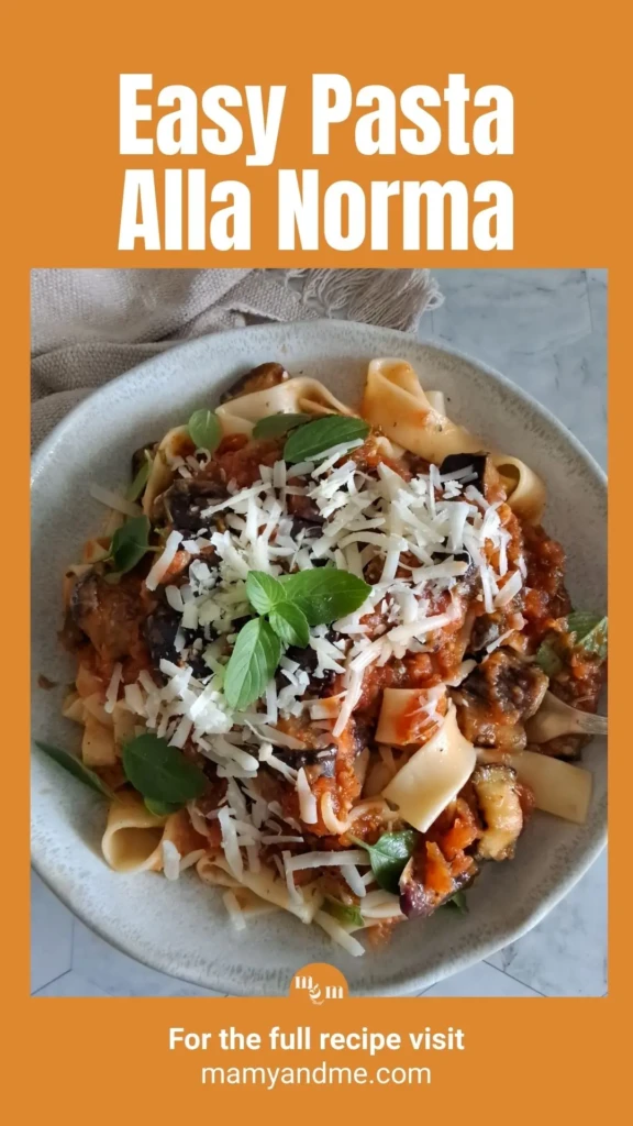 pasta a la norma pin 01